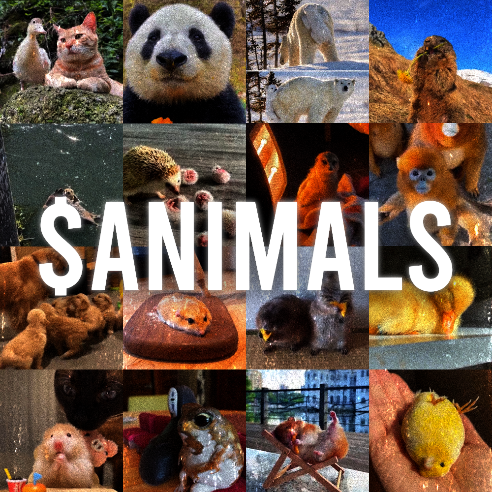 animals