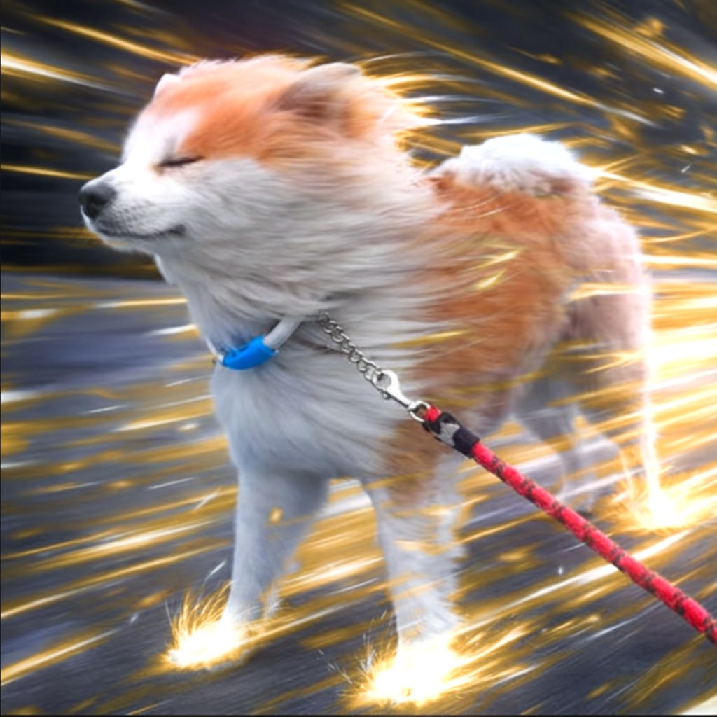 ピポ