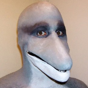 Dolphin