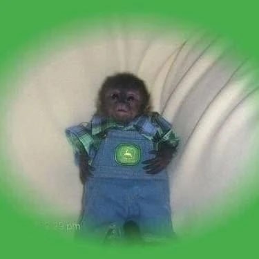 SMONKE