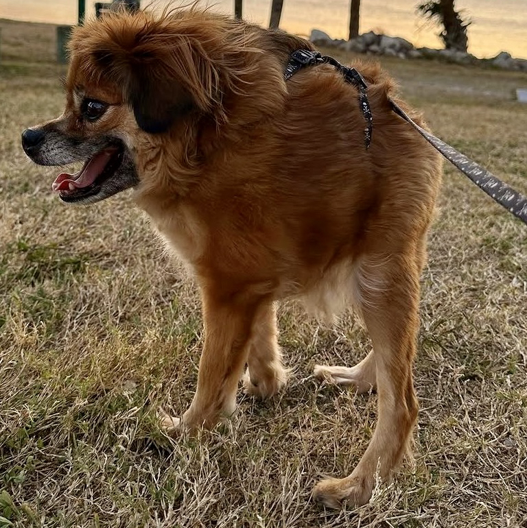 tillybean