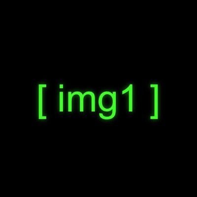 IMG1