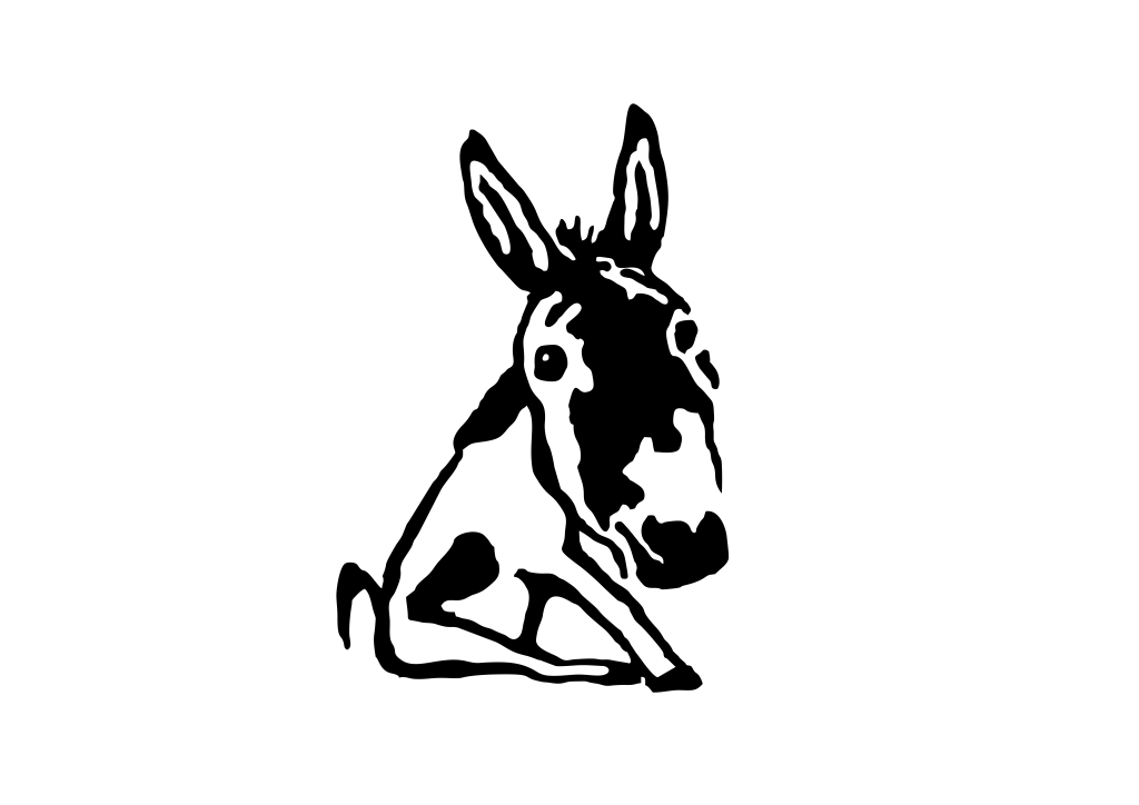 DONK