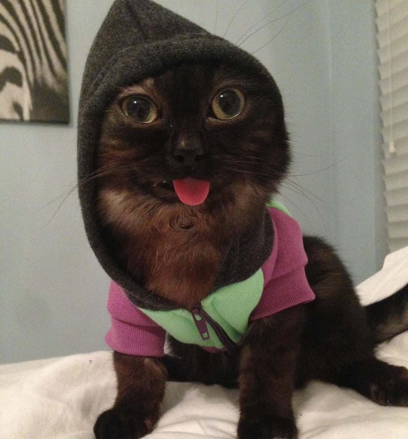 Magoo