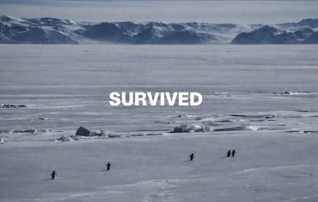 SURVIVED