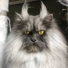 JTCAT