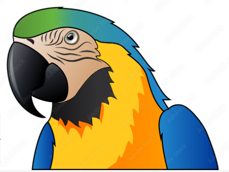 1BIRD