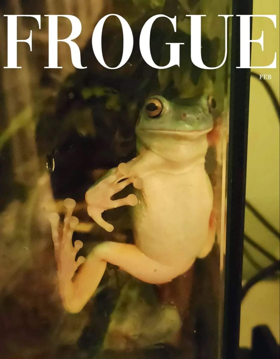 frogue
