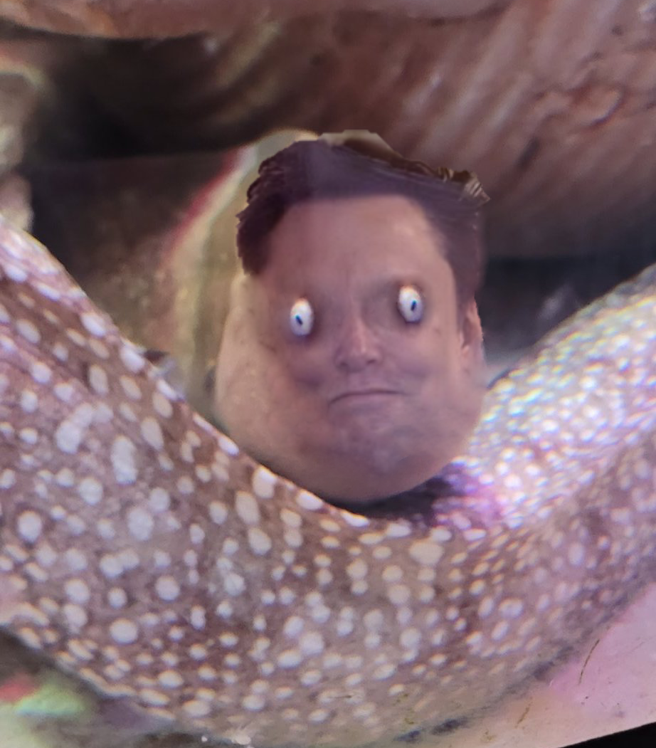 EELON