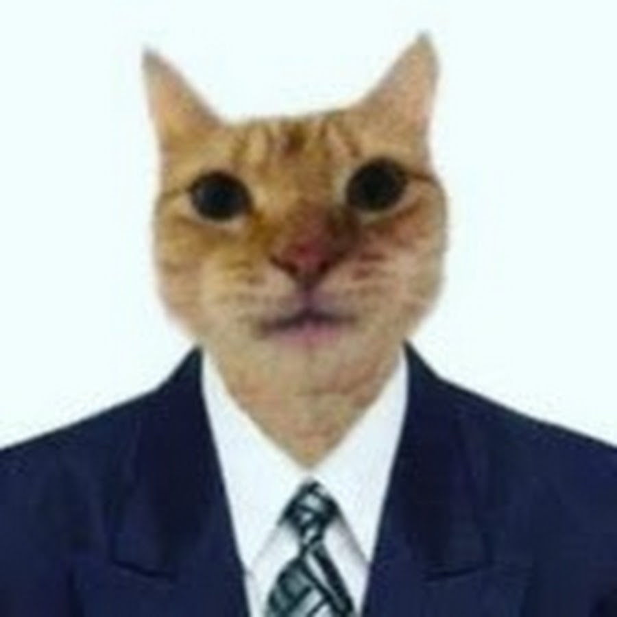 IN