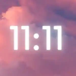 11/11