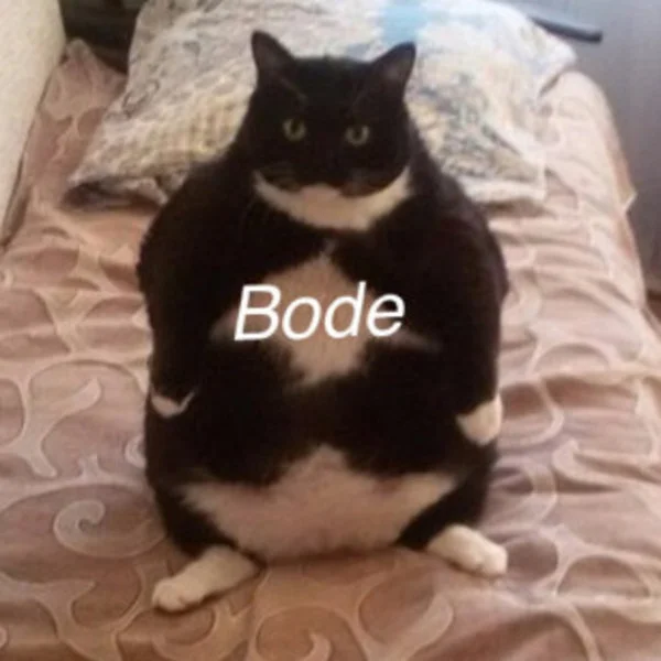 Bode