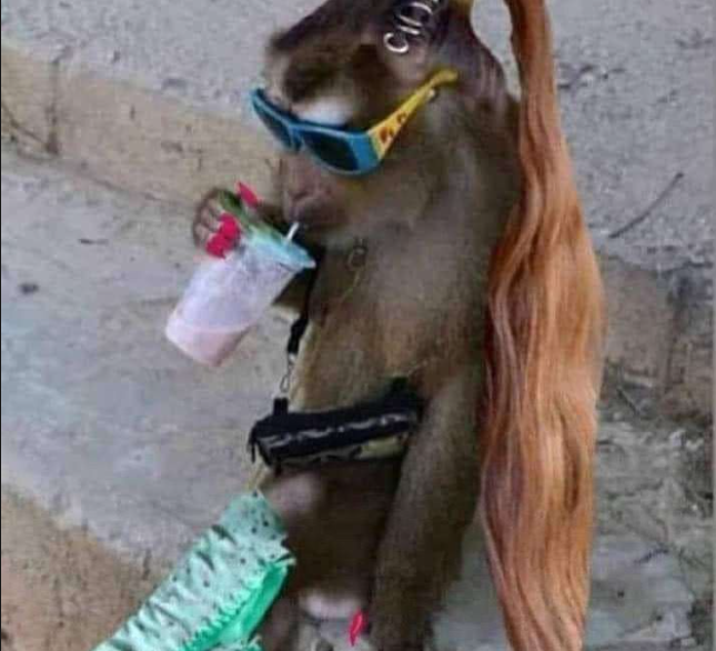 HER