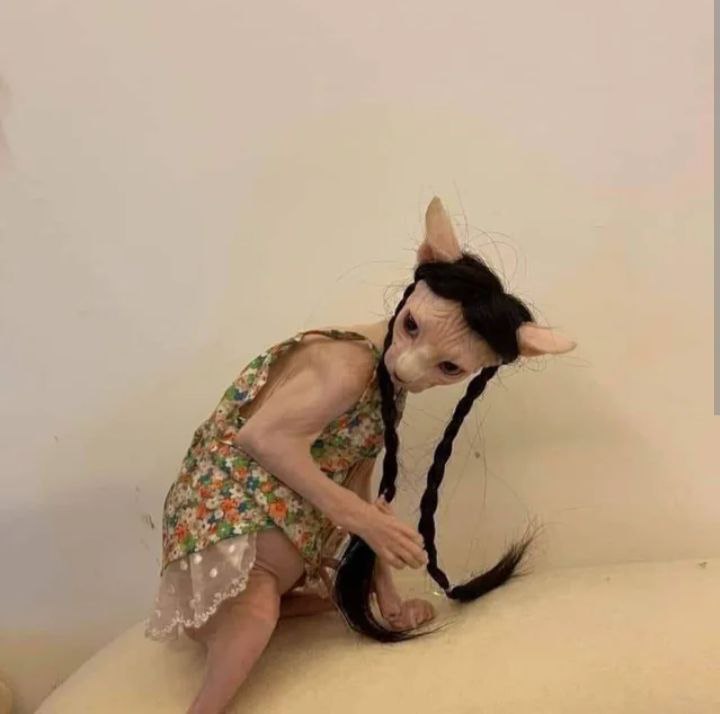Lucie