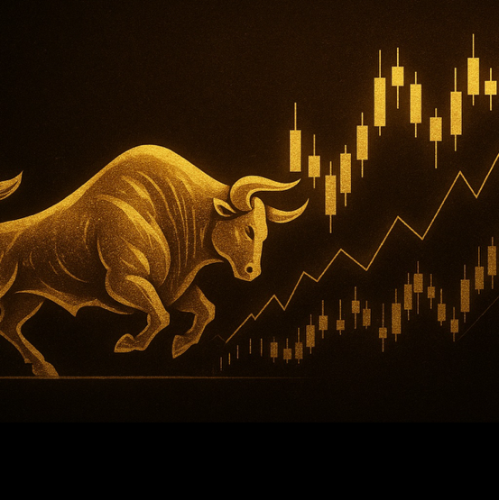 BULLRUN