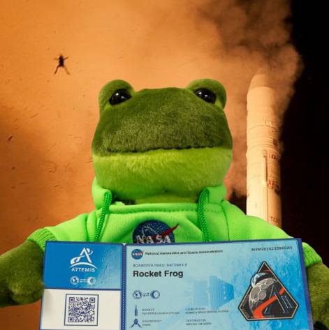 RocketFrog