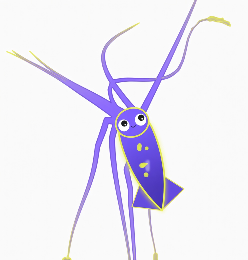 Squid