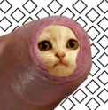 CC