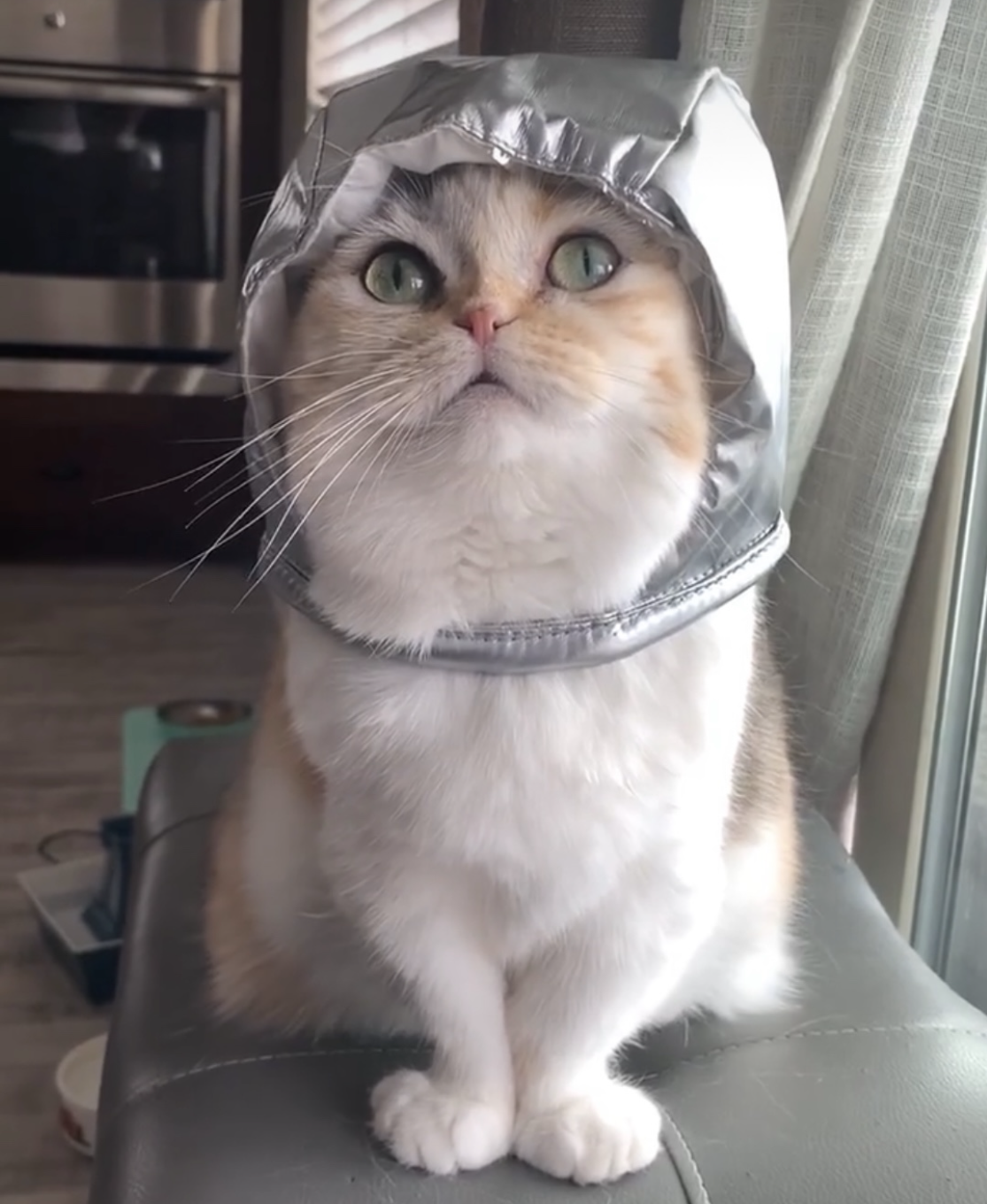 LUNA