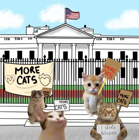 MORECATS