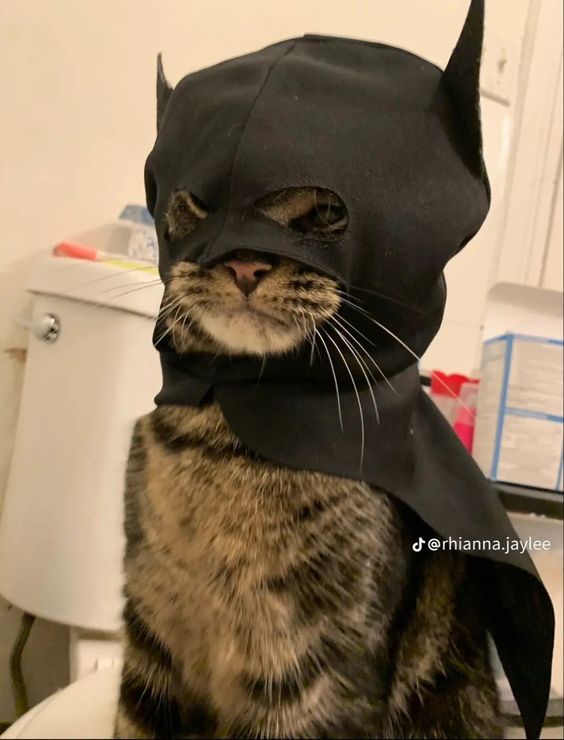BAT