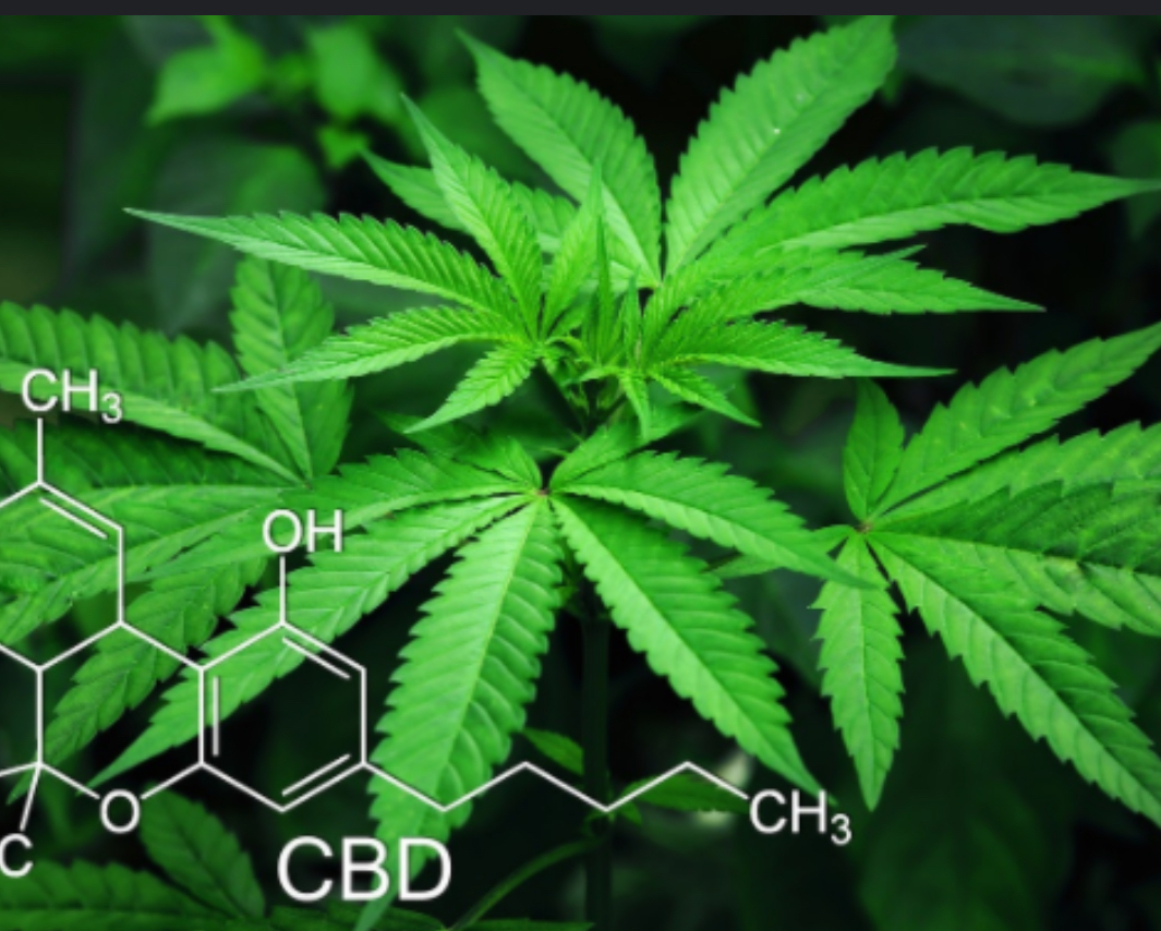 CBD