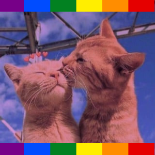 GAY