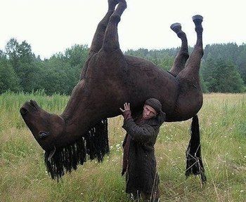 horses
