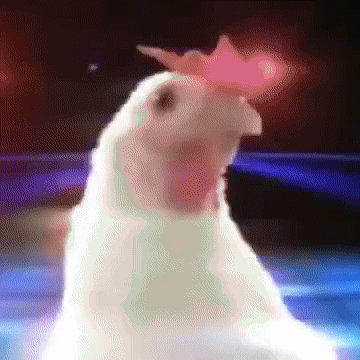 TECCHI