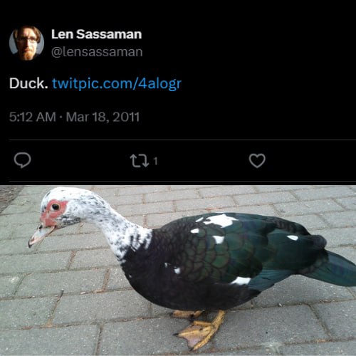 Duck