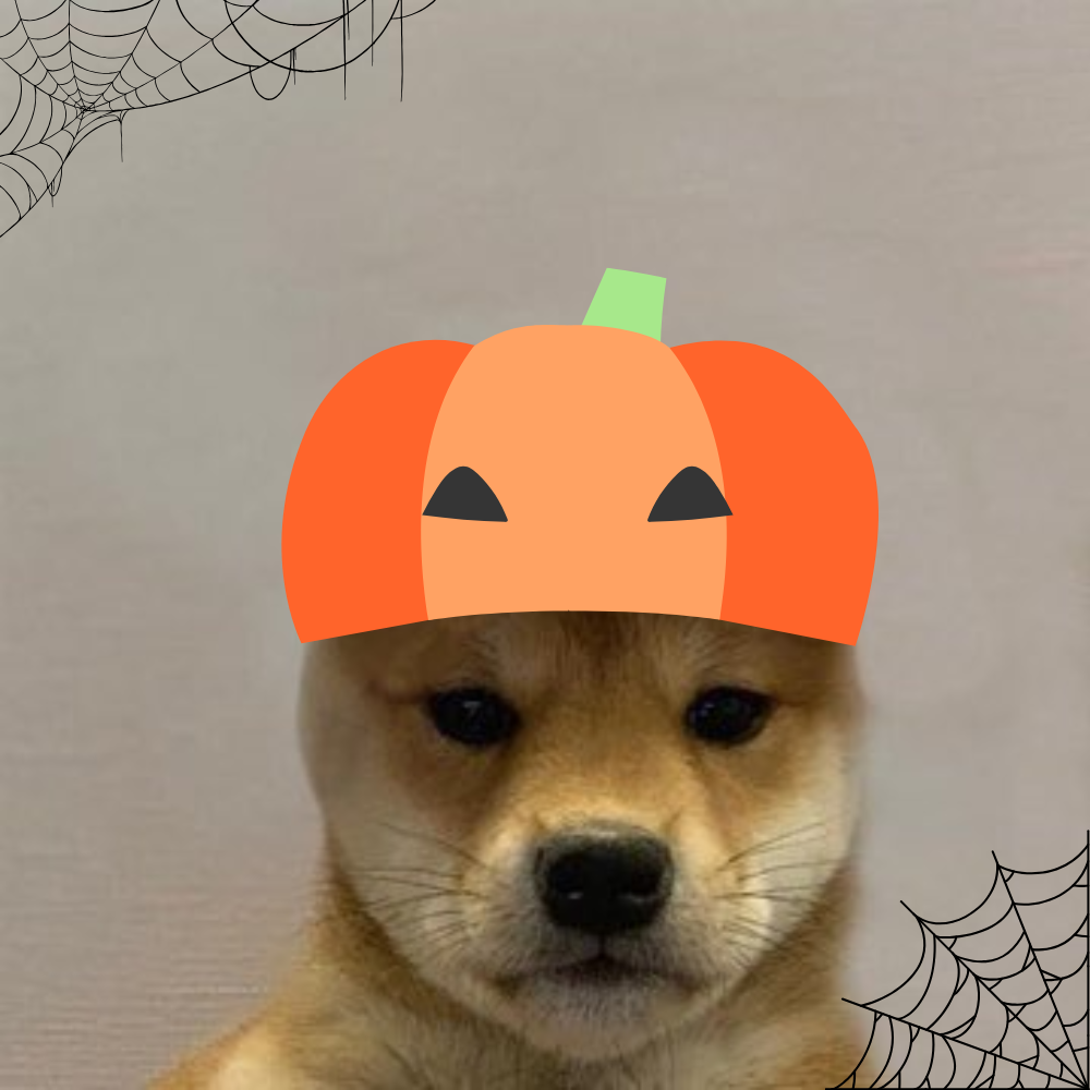WIFOWEEN