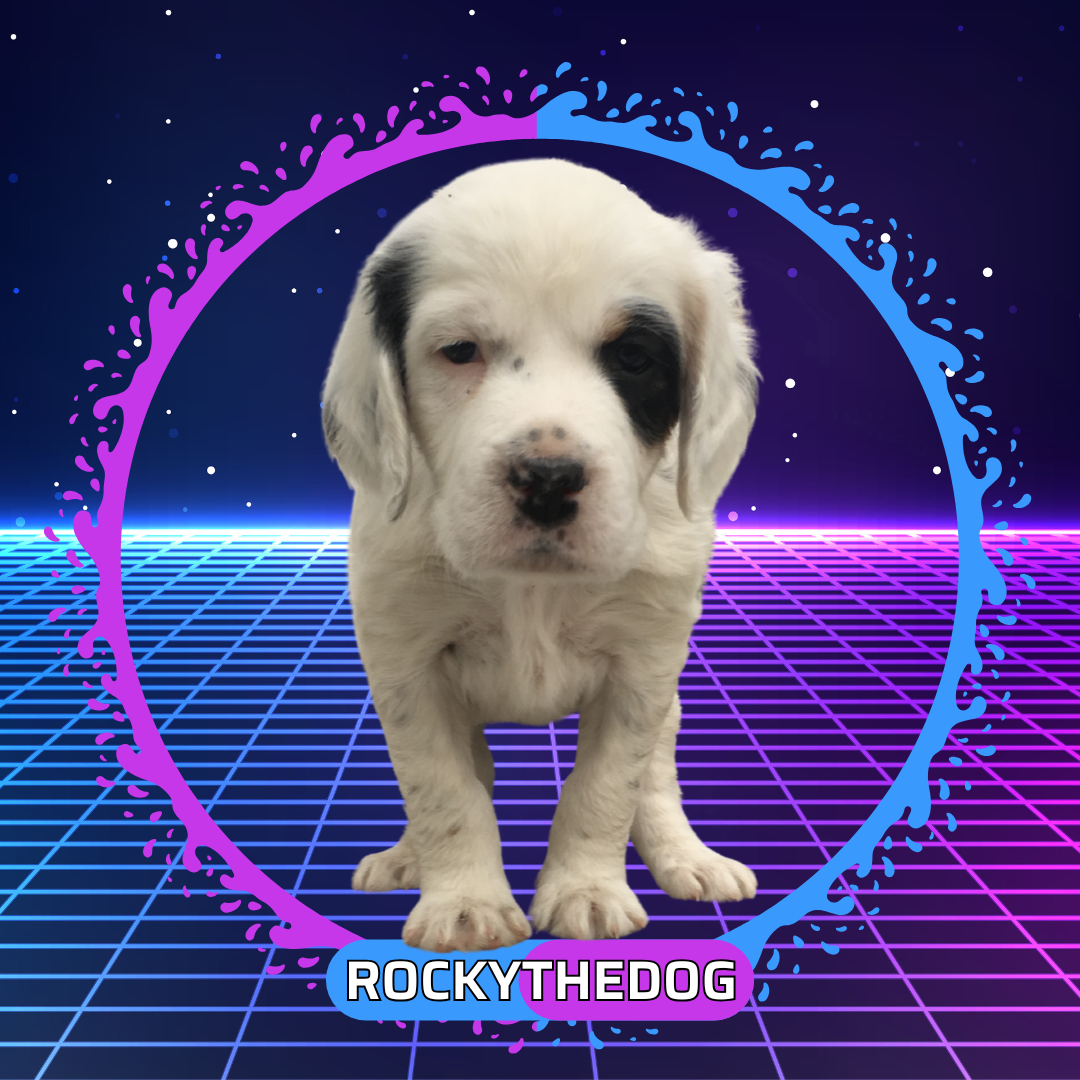 ROCKY