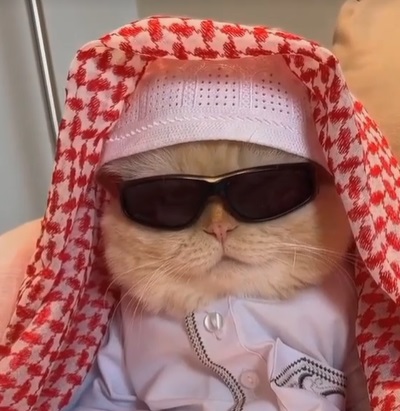 BASMA