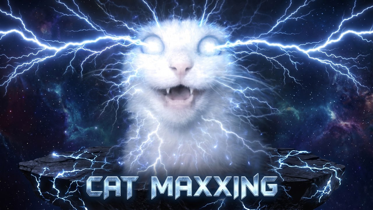 CatMaxxing