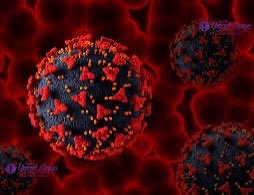 new virus