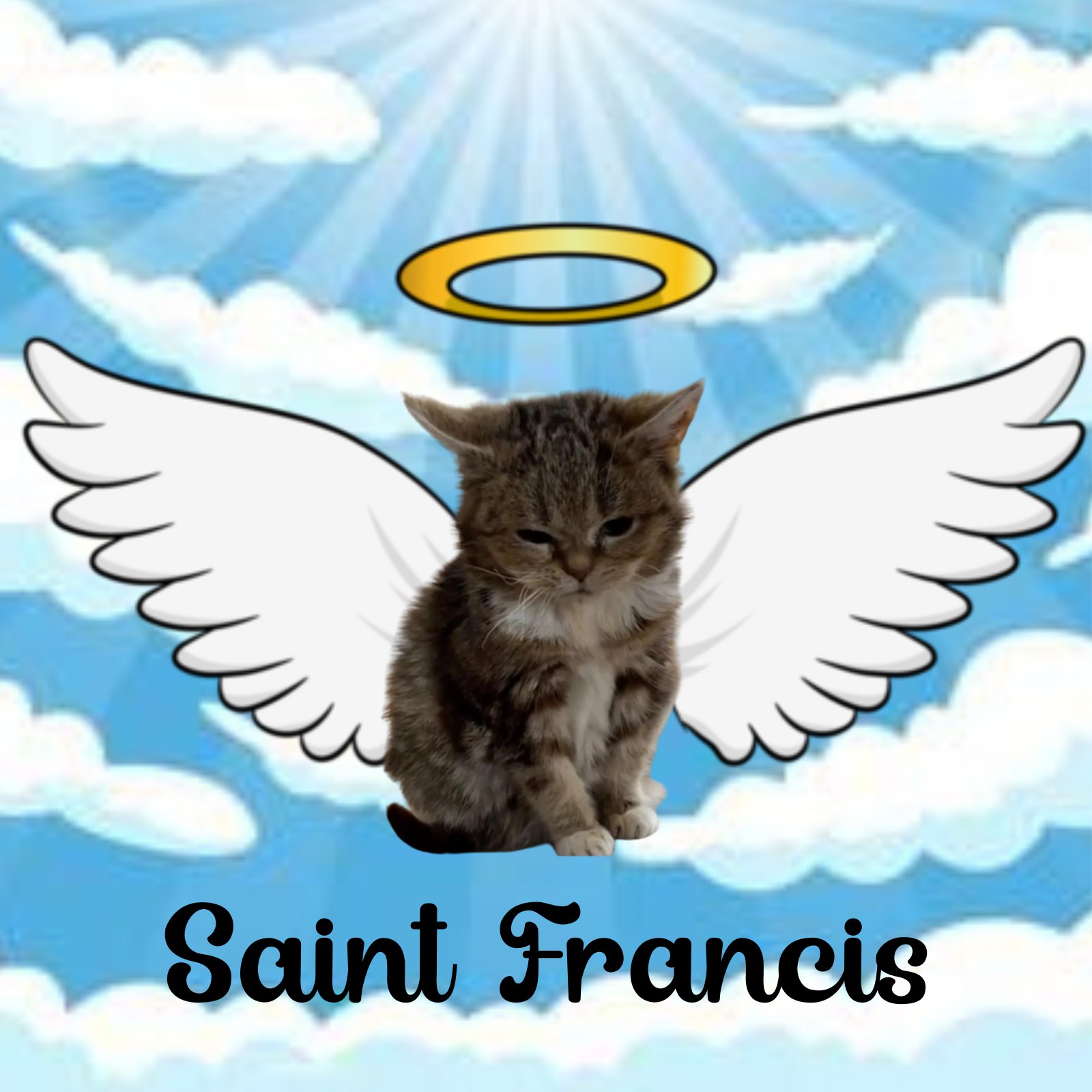 FRANCIS