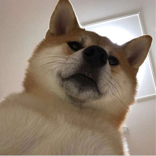 no保佑