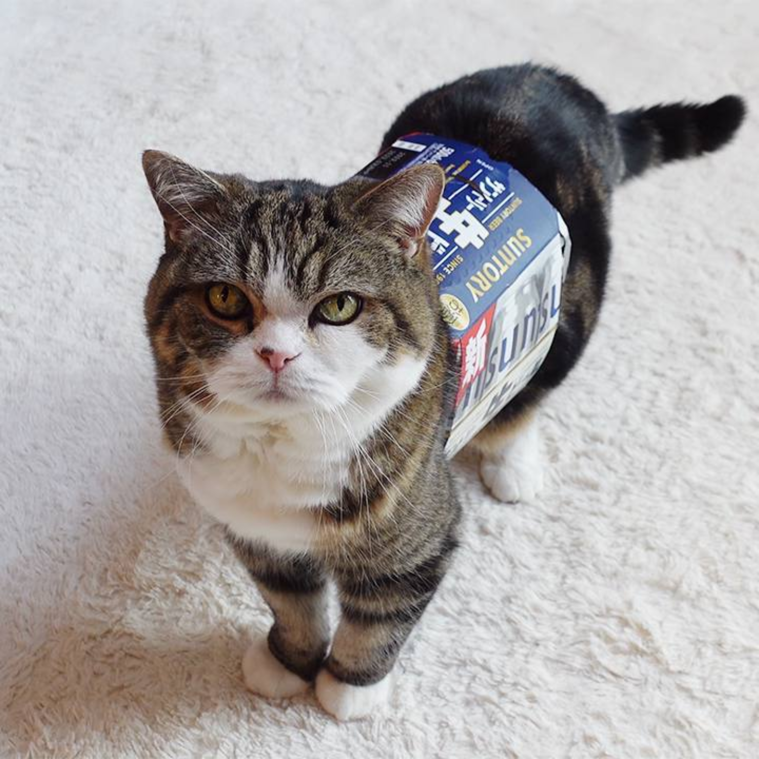 maru