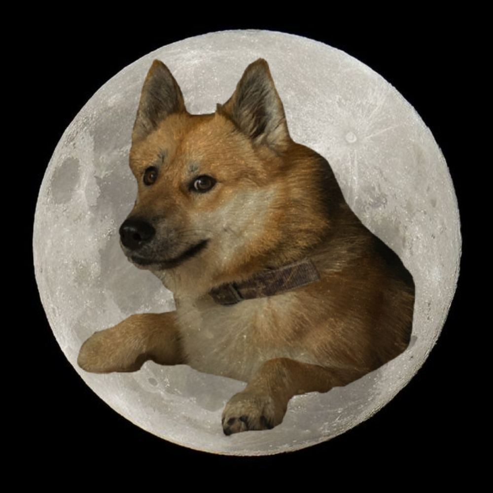 CAESAR