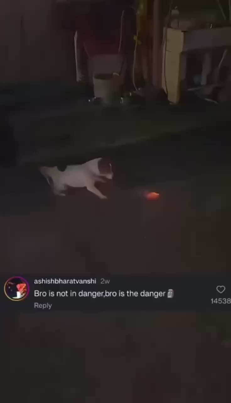 BroDanger