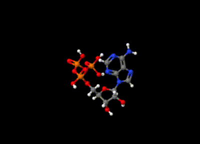 ATP