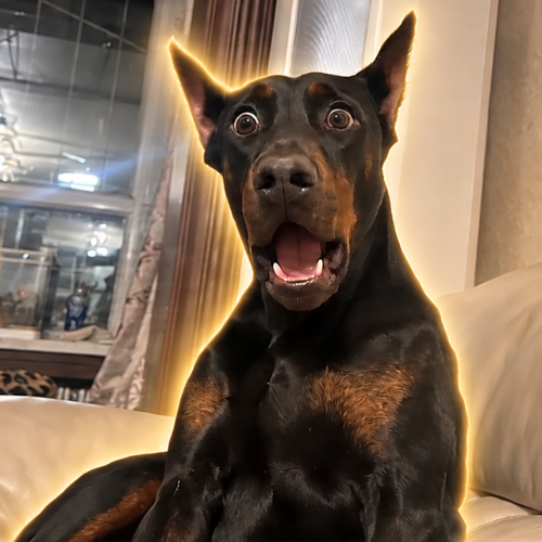 Doberman