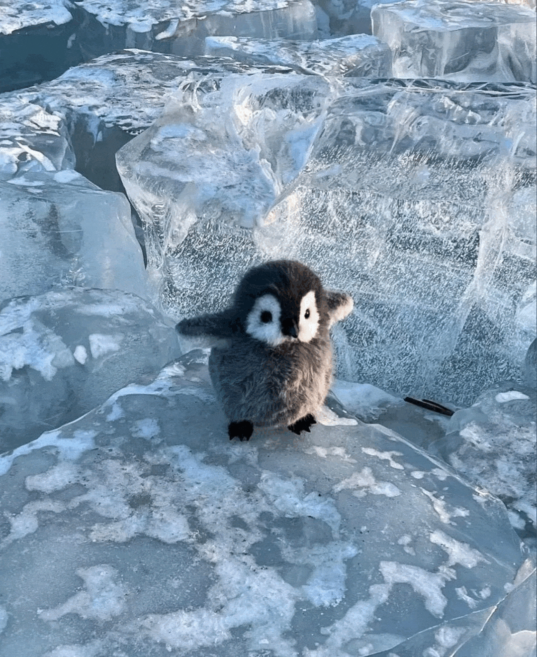 PENGA