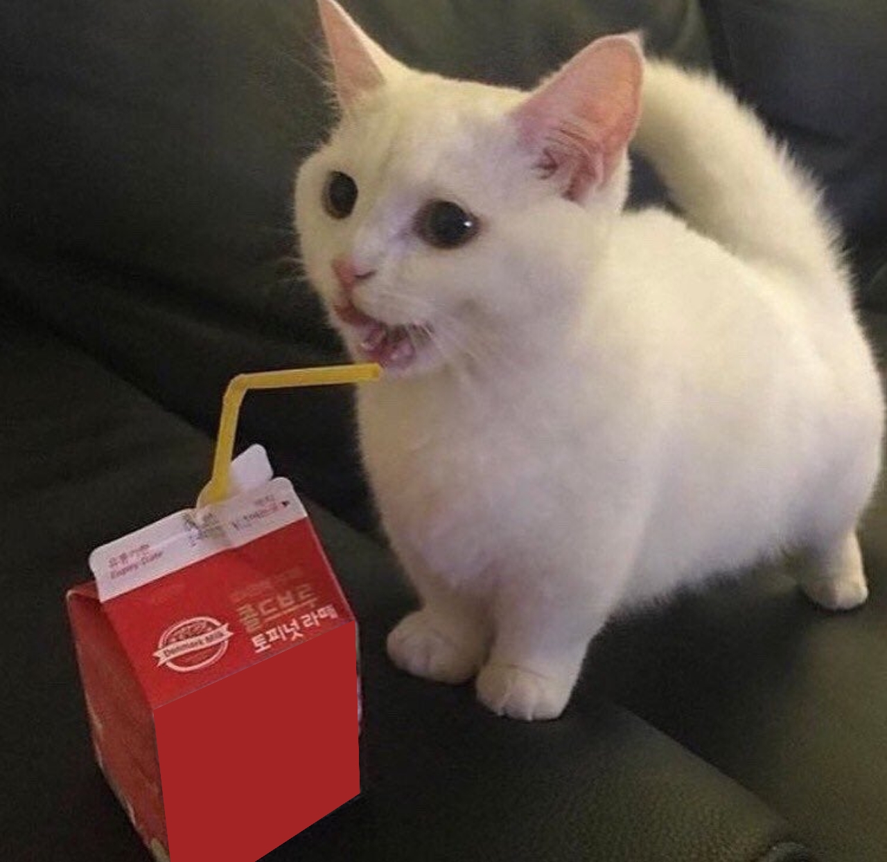 SIPPY