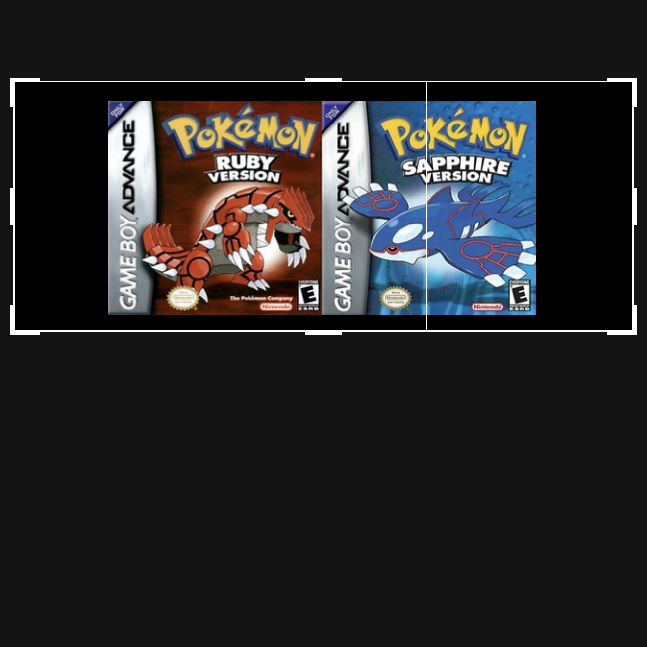 POKÉMON