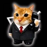 CALLCAT