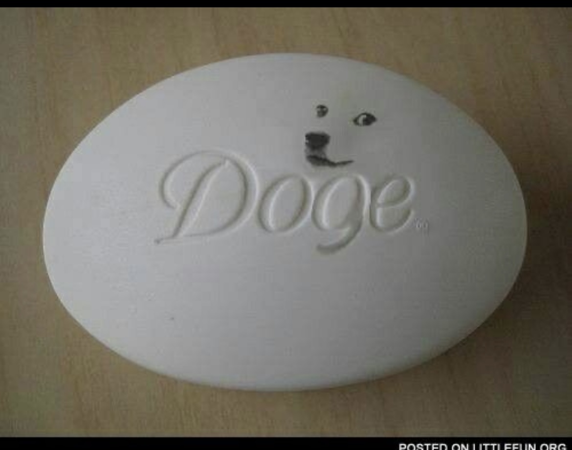 Doge