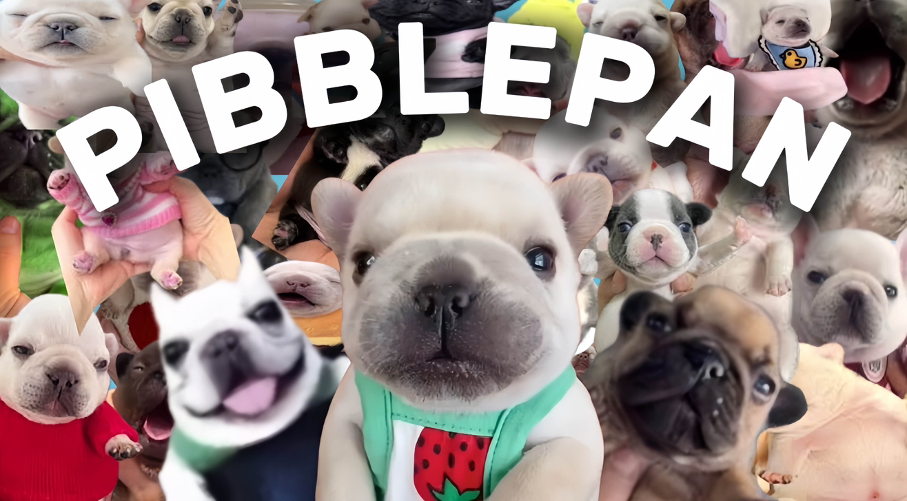PIBBLE