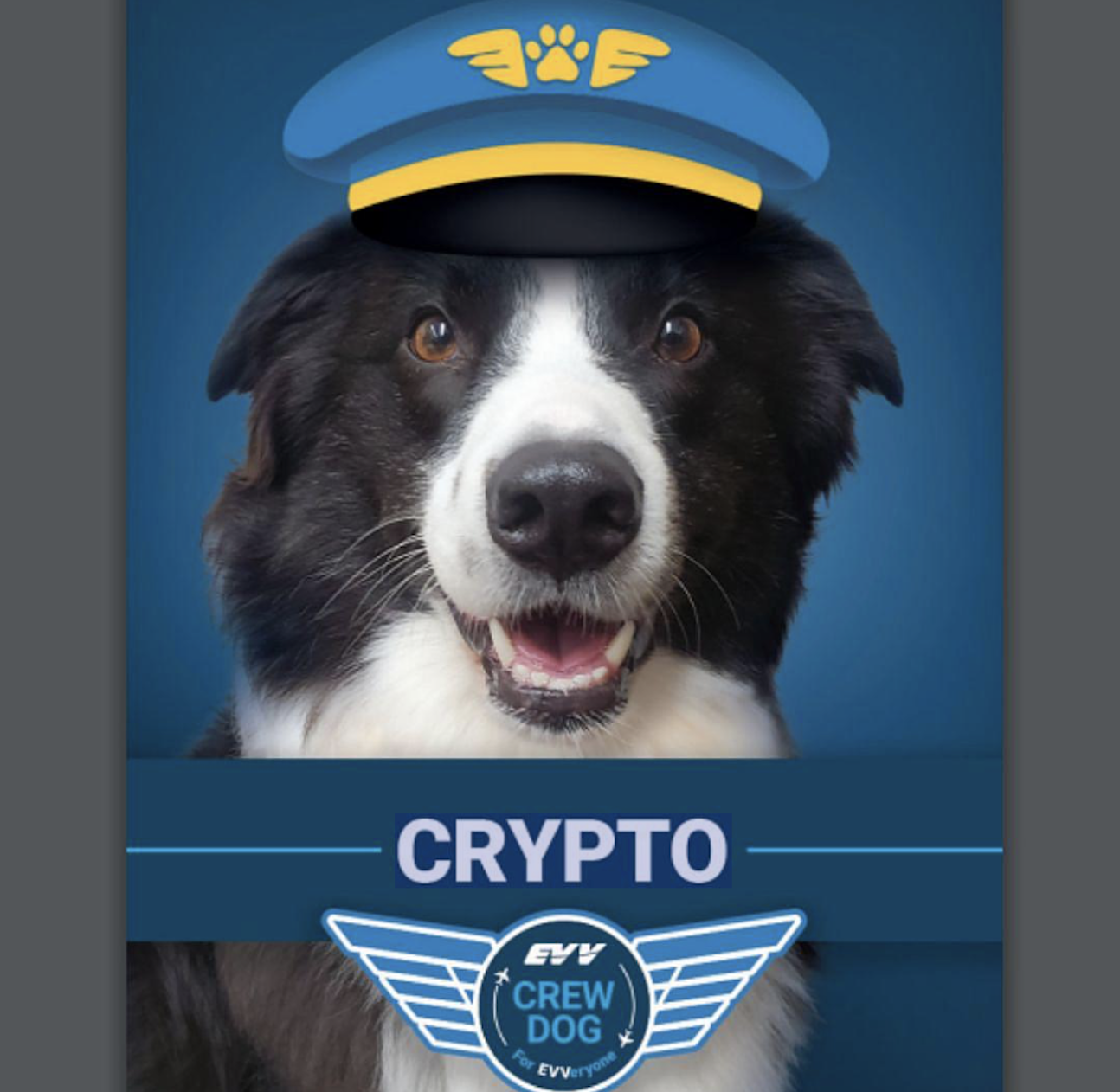 Crypto