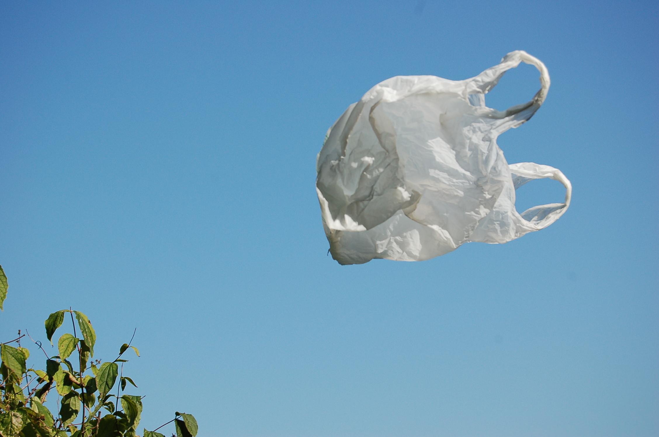 Flying Bag